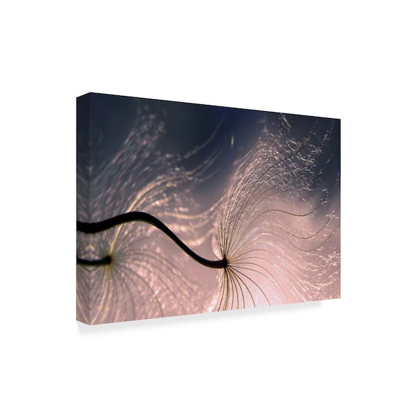 Thierry Dufour 'Ephemeral Waves' Canvas Art,22x32